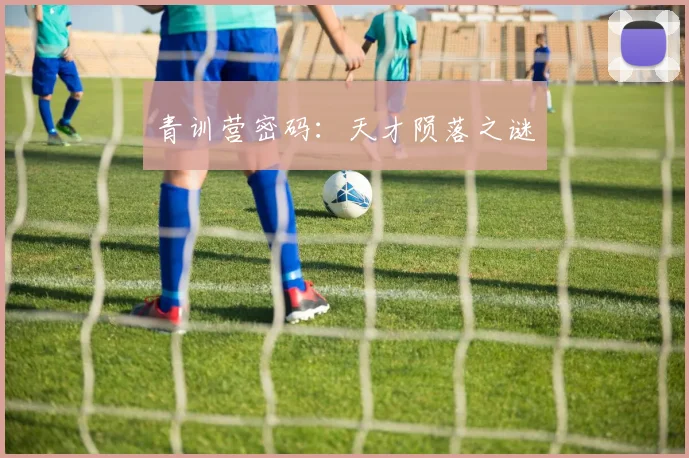 青训营密码：天才陨落之谜