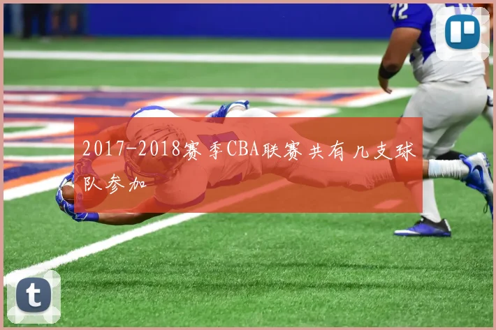 2017-2018赛季CBA联赛共有几支球队参加