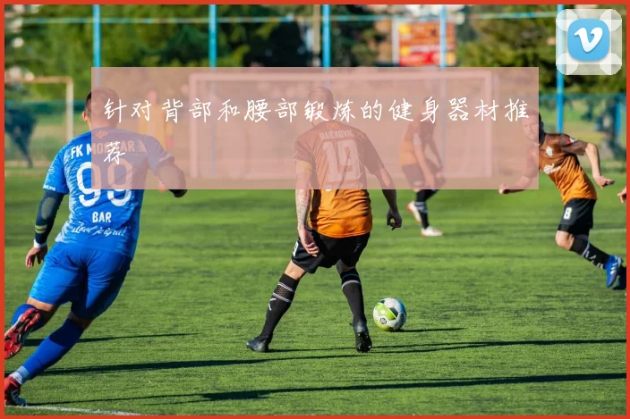 针对背部和腰部锻炼的健身器材推荐