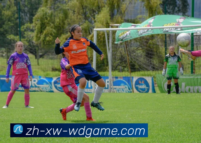 App Interface Preview